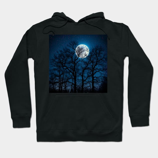 Glowing Moon, Bare Winter Trees, Star-filled Sky Hoodie by LittleBean